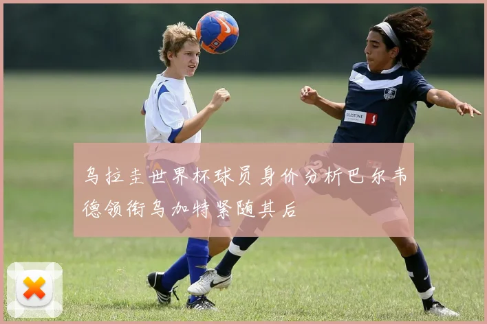 乌拉圭世界杯球员身价分析巴尔韦德领衔乌加特紧随其后