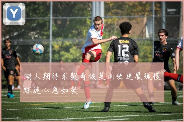 湖人期待东契奇恢复训练进展缓慢球迷心急如焚