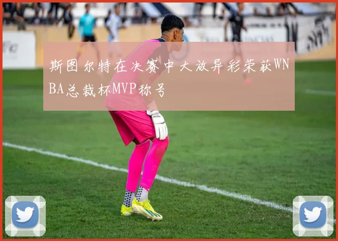斯图尔特在决赛中大放异彩荣获WNBA总裁杯MVP称号