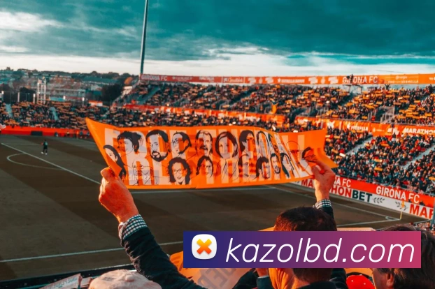 奖项证书